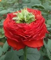 7016d506-50db-11f0-891a-246e9611e8f6-1