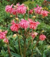 b80c6570-2d99-11e8-b1aa-005056c00008-1