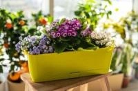 3d4cdcba-a6c5-11ed-8508-001e673ebdea-1