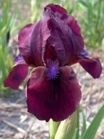 342c4b6f-eccd-11ee-890b-246e9611e8f5-1