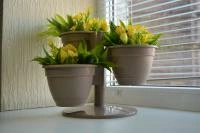 c319ebeb-55d9-11ed-aea3-001e673ebdea-1