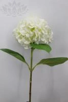 531d2480-5a6d-11f0-891b-246e9611e8f7-1