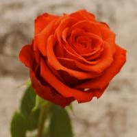 f7a54f91-2820-11e8-9db1-005056c00008-1 f7a54f91-2820-11e8-9db1-005056c00008-1