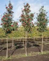 98d503cd-ece3-11ee-890b-246e9611e8f5-1