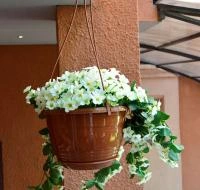 764e2fbc-59bb-11ed-aea3-001e673ebdea-1