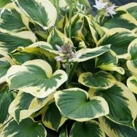 992146ad-000b-11f0-8915-246e9611e8f5-1