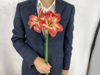 1fd5434e-5a60-11f0-891b-246e9611e8f7-1