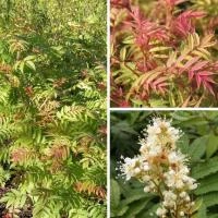 17bd7f3f-347e-11f0-8918-246e9611e8f6-1