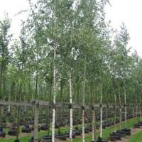 a98fbcf6-ece0-11ee-890b-246e9611e8f5-1