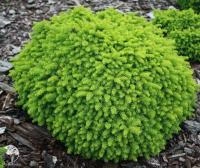 79d0dc68-ecde-11ee-890b-246e9611e8f5-1