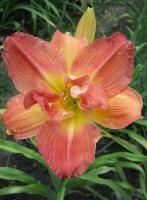 e43675aa-000f-11f0-8915-246e9611e8f5-1