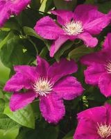 9d6e00af-ffed-11ef-8915-246e9611e8f5-1