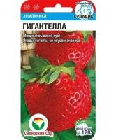 c81a397c-14a4-11e0-b5eb-00500454e615-1 c81a397c-14a4-11e0-b5eb-00500454e615-1