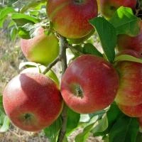 697041f6-2f0b-11f0-8918-246e9611e8f6-1