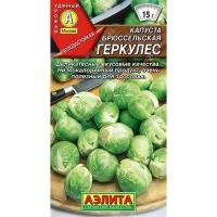 50f0495c-e73b-11e0-9ebd-00500454e615-1