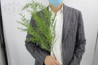 196ae08c-5a66-11f0-891b-246e9611e8f7-1