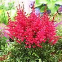 f09160b2-c636-11ec-9a28-005056c00008-1