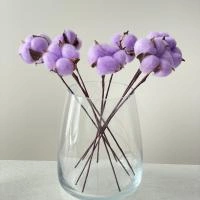 30e2a854-9d02-11ef-8912-246e9611e8f7-1