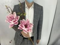 59e83672-5a62-11f0-891b-246e9611e8f7-1