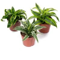 8a7d6737-d227-11ee-890a-246e9611e8f5-1