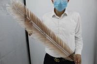 d1ad4009-5a4a-11f0-891b-246e9611e8f7-1