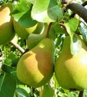 be6668c4-29c4-11f0-8918-246e9611e8f6-1 be6668c4-29c4-11f0-8918-246e9611e8f6-1