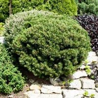 26ed2983-c2a6-11ef-8915-246e9611e8f5-1