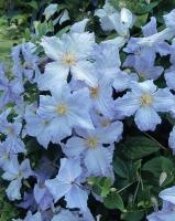 1e2749ed-fff0-11ef-8915-246e9611e8f5-1