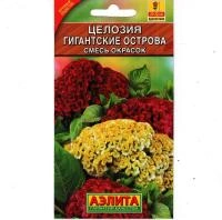 f0fb90e6-4058-11e3-9147-00500454e615-1