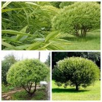 1973654f-c636-11ec-9a28-005056c00008-1