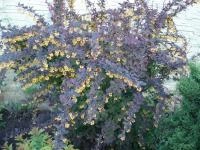 6830de58-349a-11f0-8918-246e9611e8f6-1