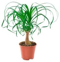 2b4968ff-d22f-11ee-890a-246e9611e8f5-1