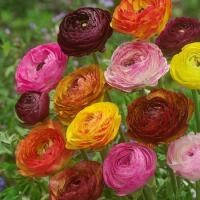 ea9eb9ec-ad2a-11e8-9ac1-005056c00008-1