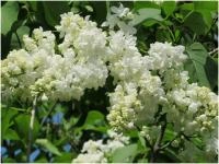 44c9fbe6-2f8f-11ef-890e-246e9611e8f7-1