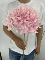 b3a560f6-5a6c-11f0-891b-246e9611e8f7-1