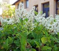 992c44ef-1145-11f0-8918-246e9611e8f6-1