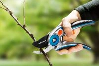 a11a48e3-c31c-11ed-ae56-001e673ebdea-1