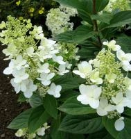 f6b044c6-112a-11f0-8918-246e9611e8f6-1