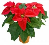 0aff4027-7a2d-11ee-ae0a-001e673ebdea-1