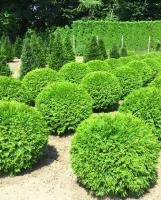 ff9615a9-ecdb-11ee-890b-246e9611e8f5-1