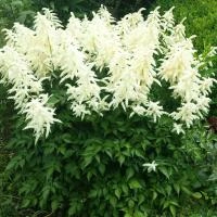 141a3a56-44d5-11ef-8910-246e9611e8f6-1