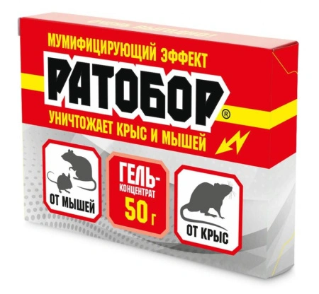 f3eac0b8-71c3-11ef-8911-246e9611e8f6-1