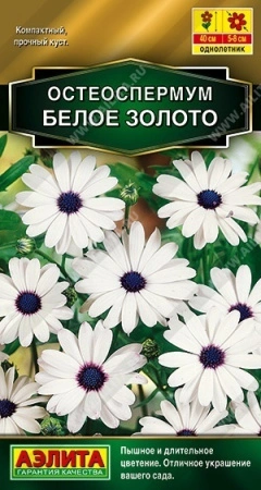 b155ee73-0e25-11ec-a8a4-005056c00008-1