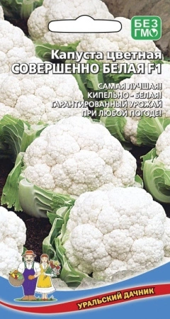 7936aff9-191e-11eb-add8-005056c00008-1