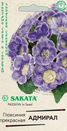 412e8e08-e815-11ea-86cc-005056c00008-1