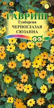 a74e359a-dcea-11dd-9138-00500454e615-1