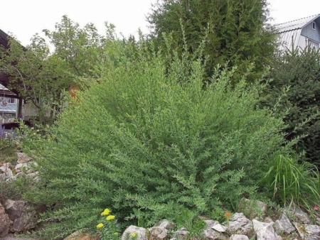 bdaead63-30ae-11f0-8918-246e9611e8f6-1