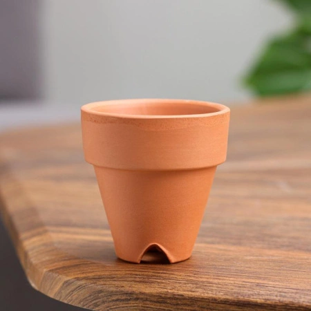 24398b5d-fd9a-11ea-8850-005056c00008-1