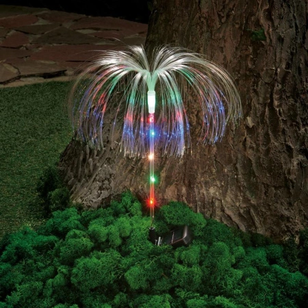 1c898d18-2fbe-11ef-890e-246e9611e8f7-1 1c898d18-2fbe-11ef-890e-246e9611e8f7-1