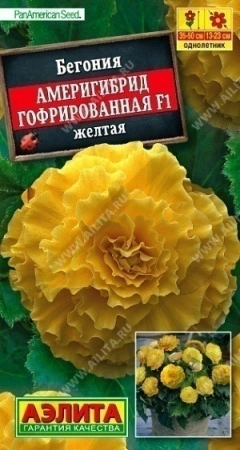 6d3f9f6c-f803-11ea-b984-005056c00008-2